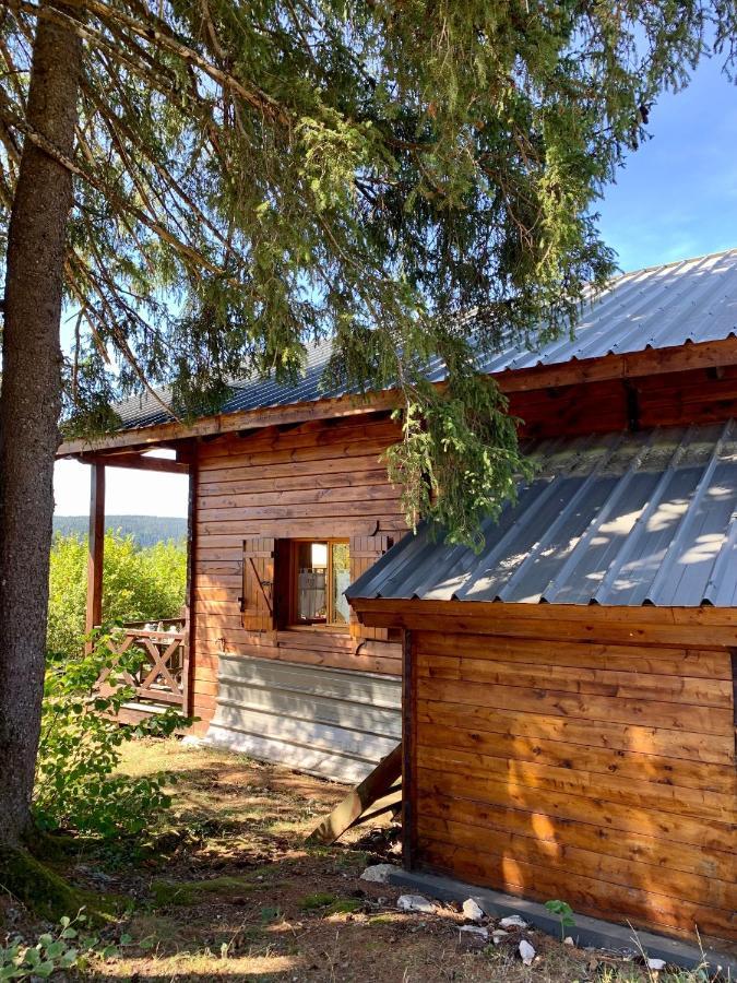 Chalet Du Bois Joli Saint-Laurent-en-Grandvaux Exteriér fotografie
