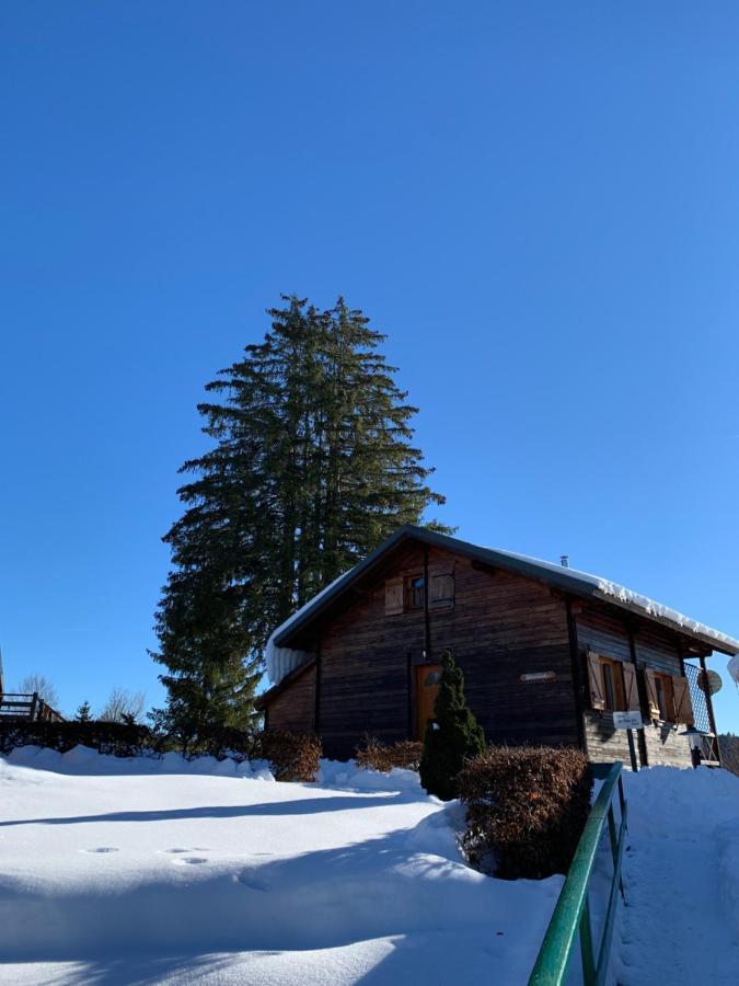 Chalet Du Bois Joli Saint-Laurent-en-Grandvaux Exteriér fotografie