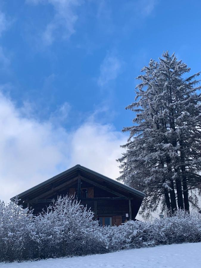 Chalet Du Bois Joli Saint-Laurent-en-Grandvaux Exteriér fotografie